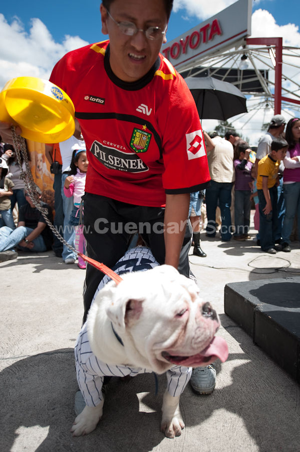 Festival Canino Mall 2009