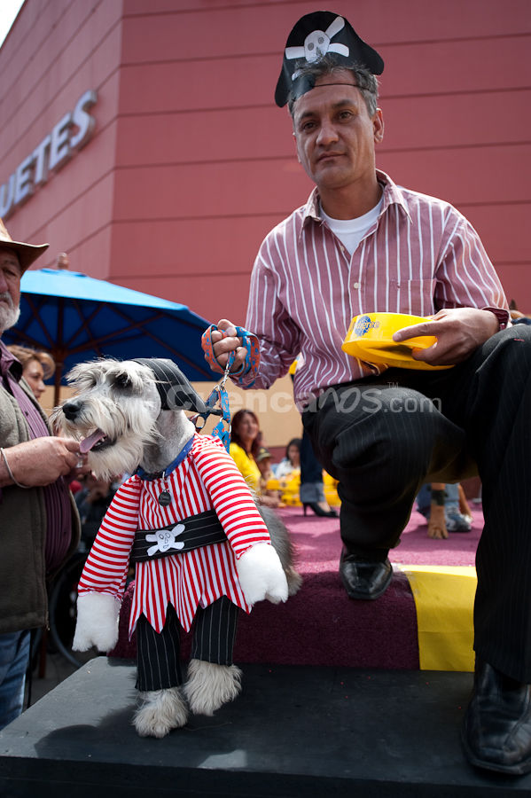 Festival Canino Mall 2009