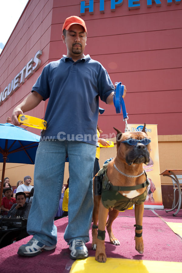 Festival Canino Mall 2009