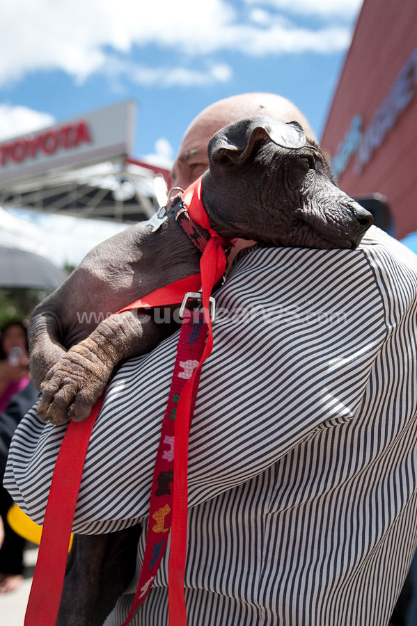 Festival Canino Mall 2009