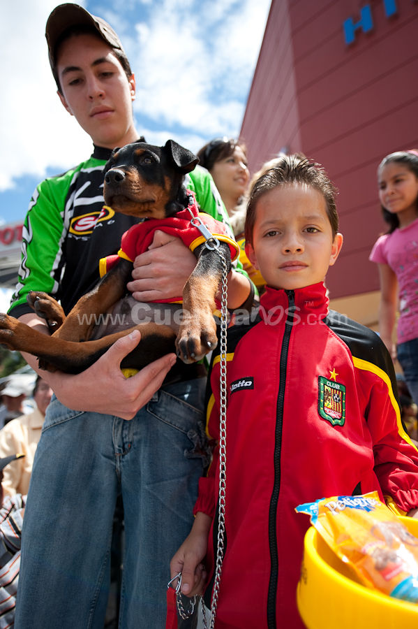 Festival Canino Mall 2009