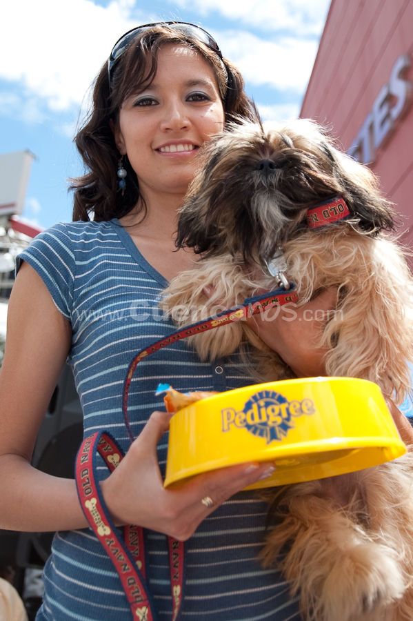 Festival Canino Mall 2009