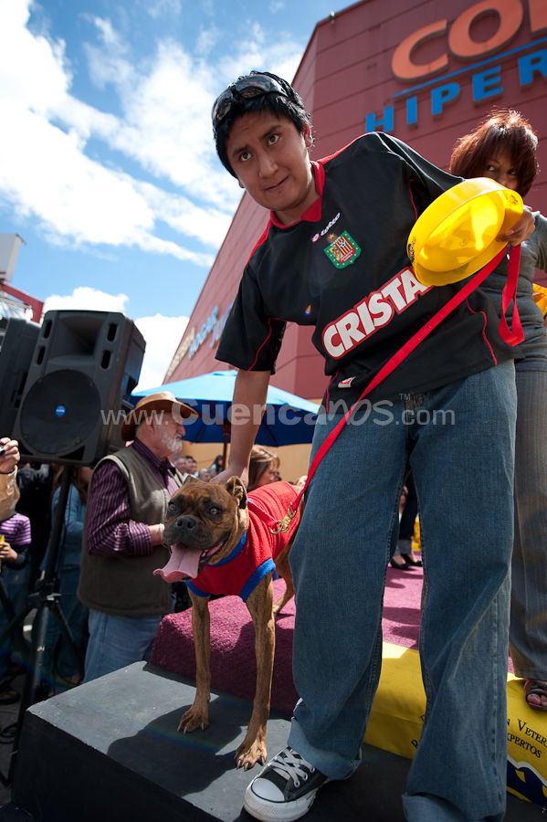 Festival Canino Mall 2009