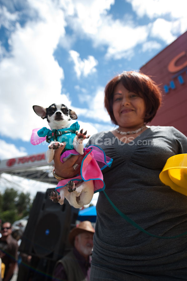 Festival Canino Mall 2009