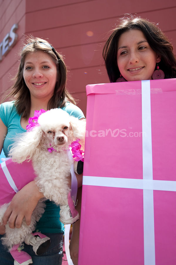 Festival Canino Mall 2009