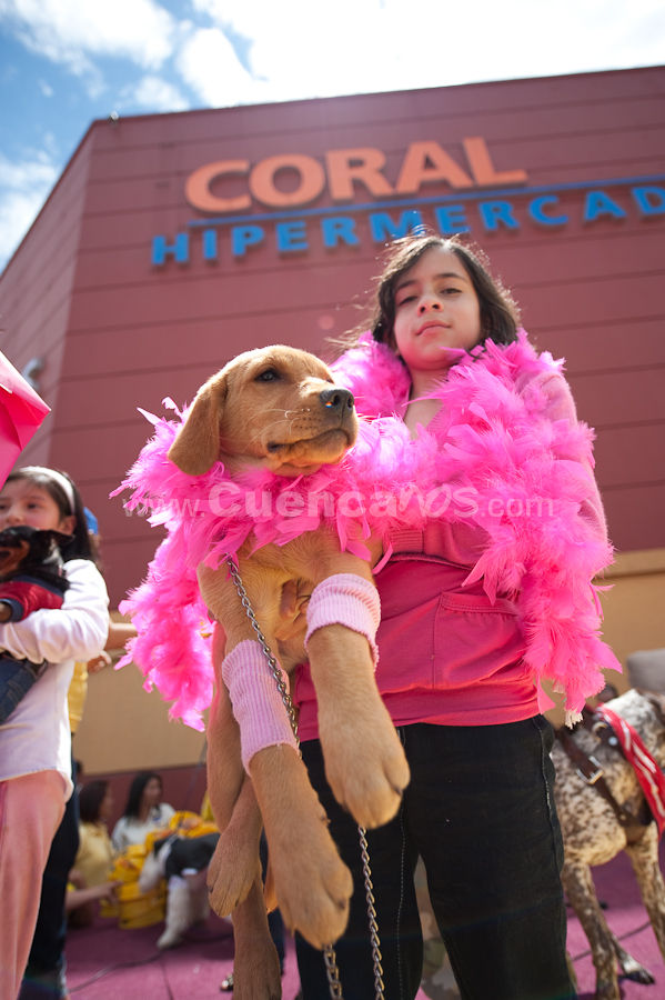 Festival Canino Mall 2009