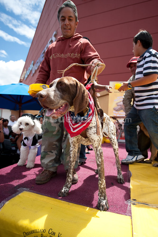 Festival Canino Mall 2009