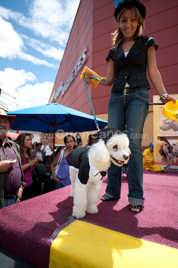 Festival Canino Mall 2009