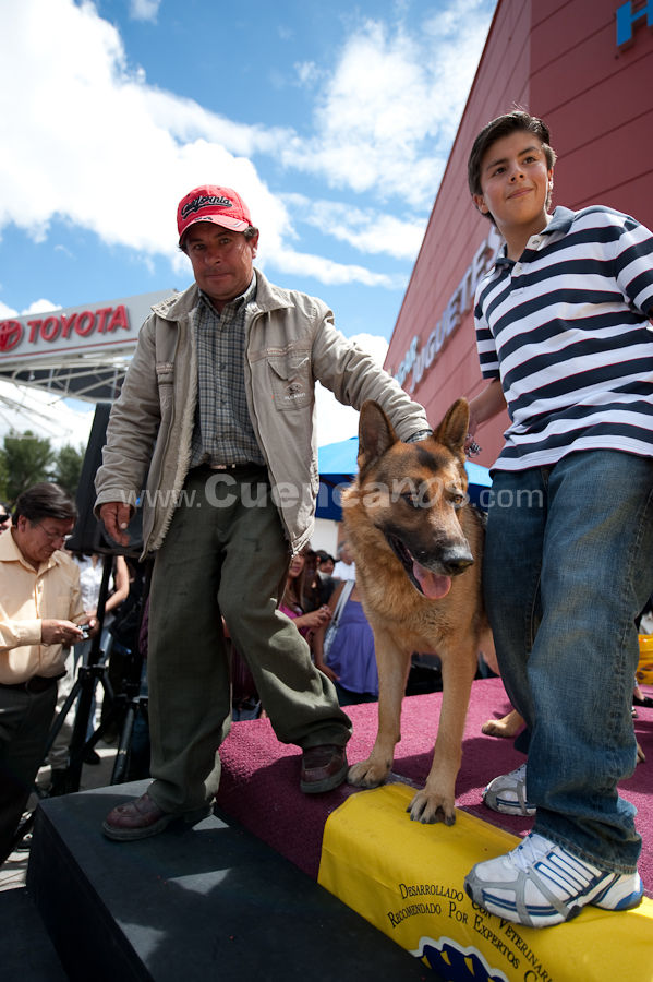 Festival Canino Mall 2009