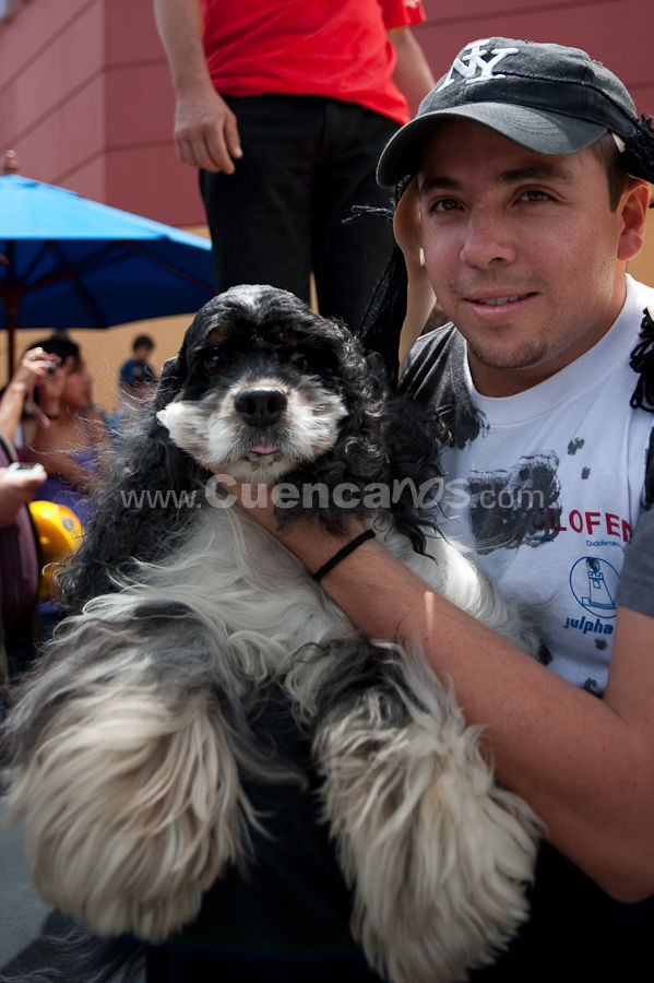 Festival Canino Mall 2009