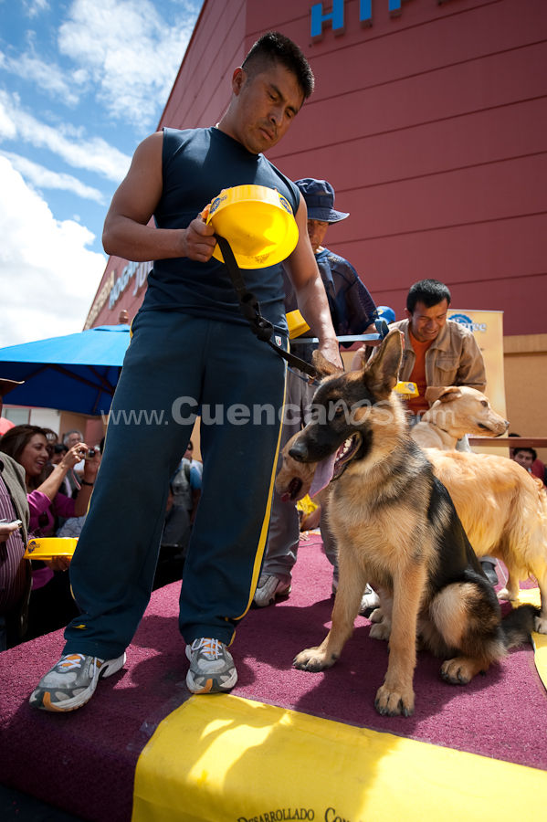 Festival Canino Mall 2009