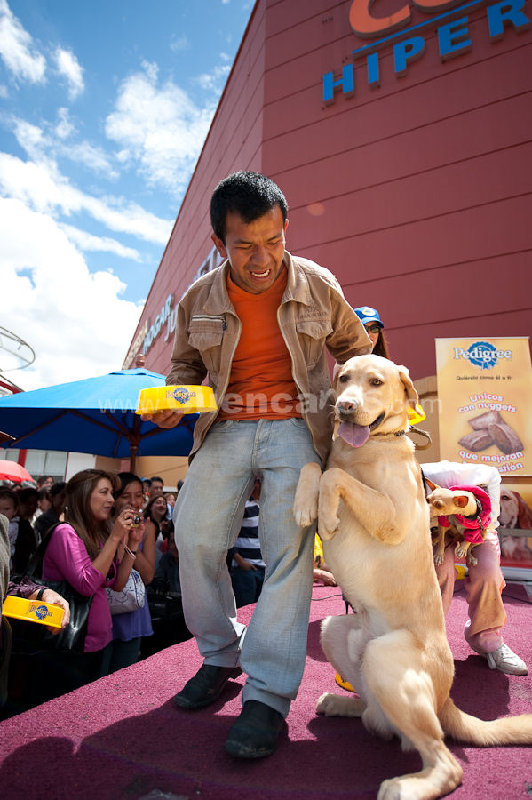 Festival Canino Mall 2009