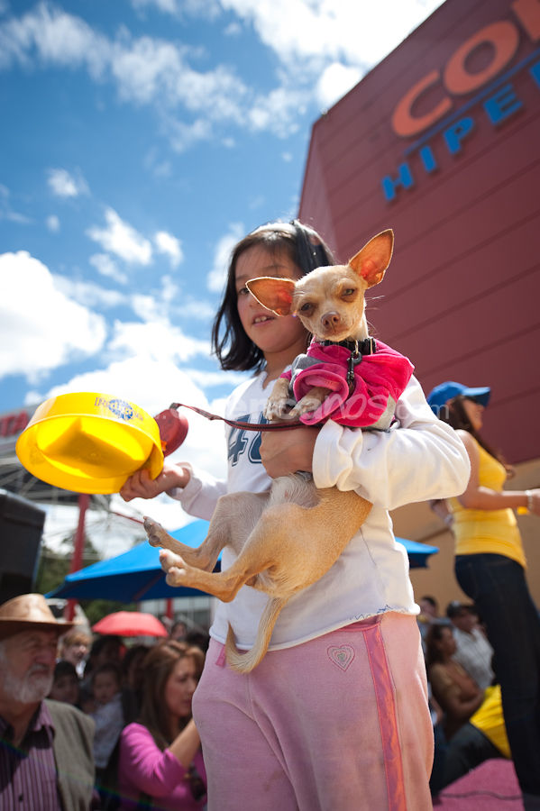 Festival Canino Mall 2009