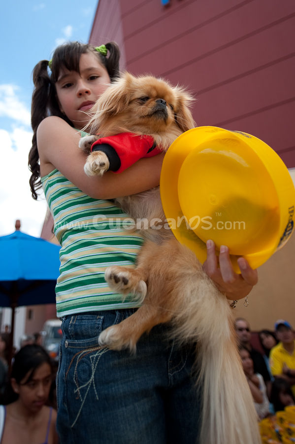 Festival Canino Mall 2009