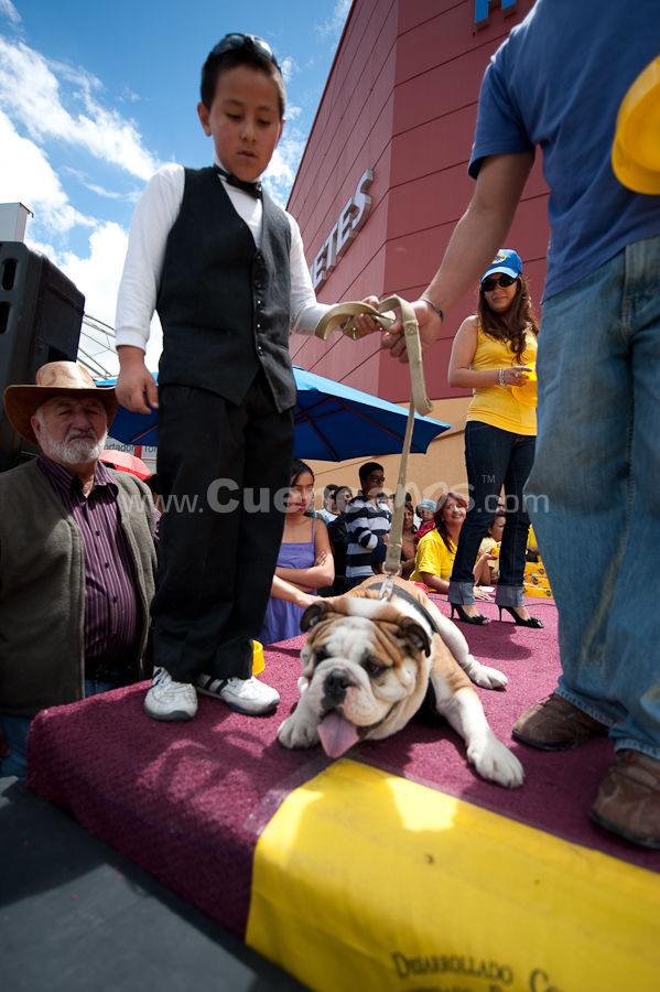 Festival Canino Mall 2009