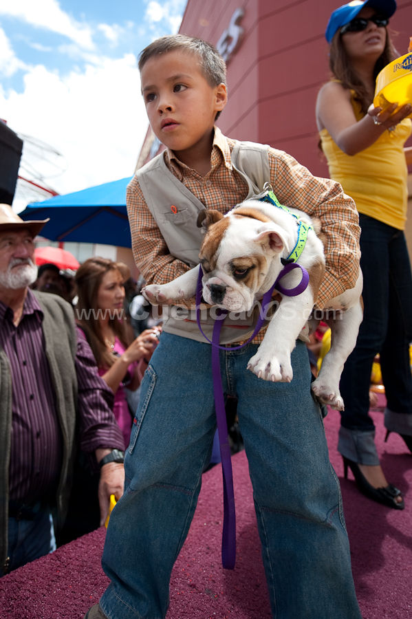 Festival Canino Mall 2009