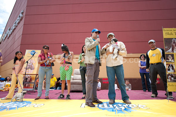 Festival Canino Mall 2009