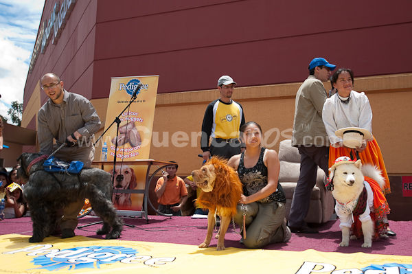 Festival Canino Mall 2009