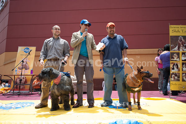 Festival Canino Mall 2009