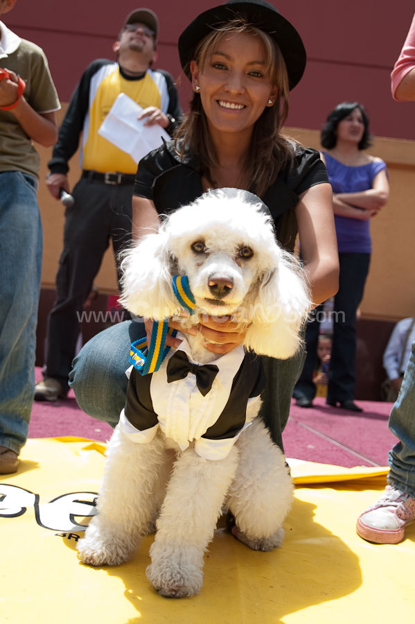 Festival Canino Mall 2009