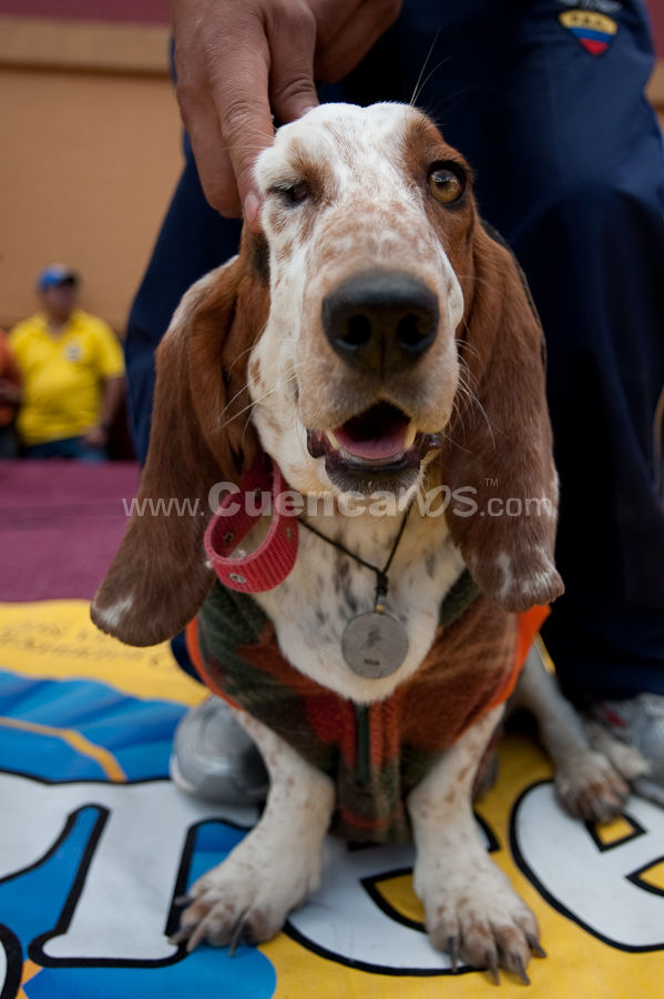 Festival Canino Mall 2009