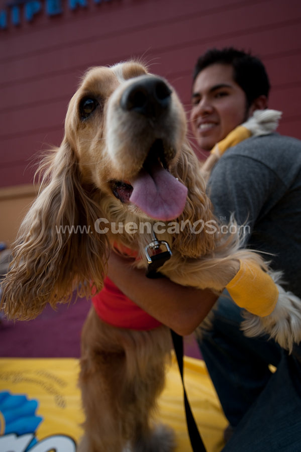 Festival Canino Mall 2009