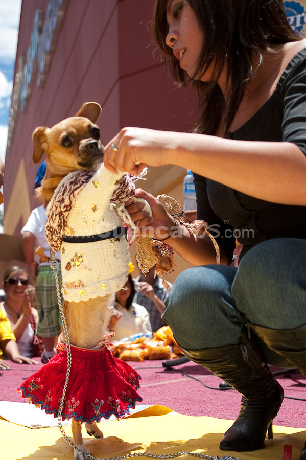 Festival Canino Mall 2009