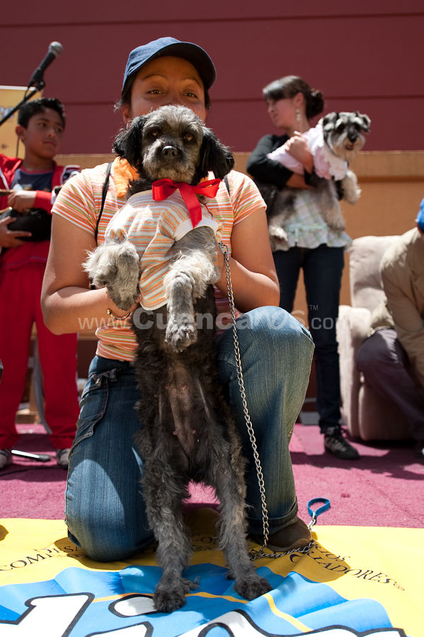 Festival Canino Mall 2009