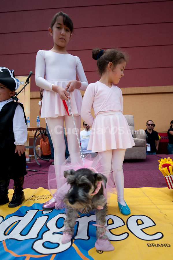 Festival Canino Mall 2009