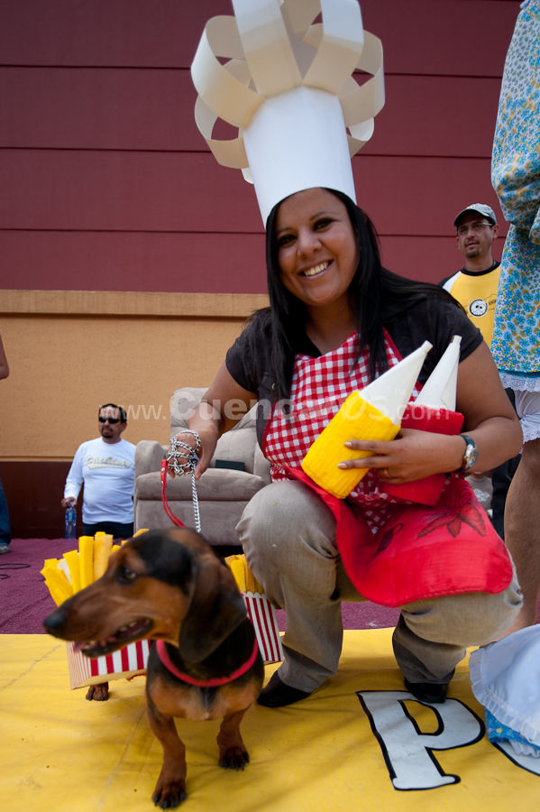 Festival Canino Mall 2009