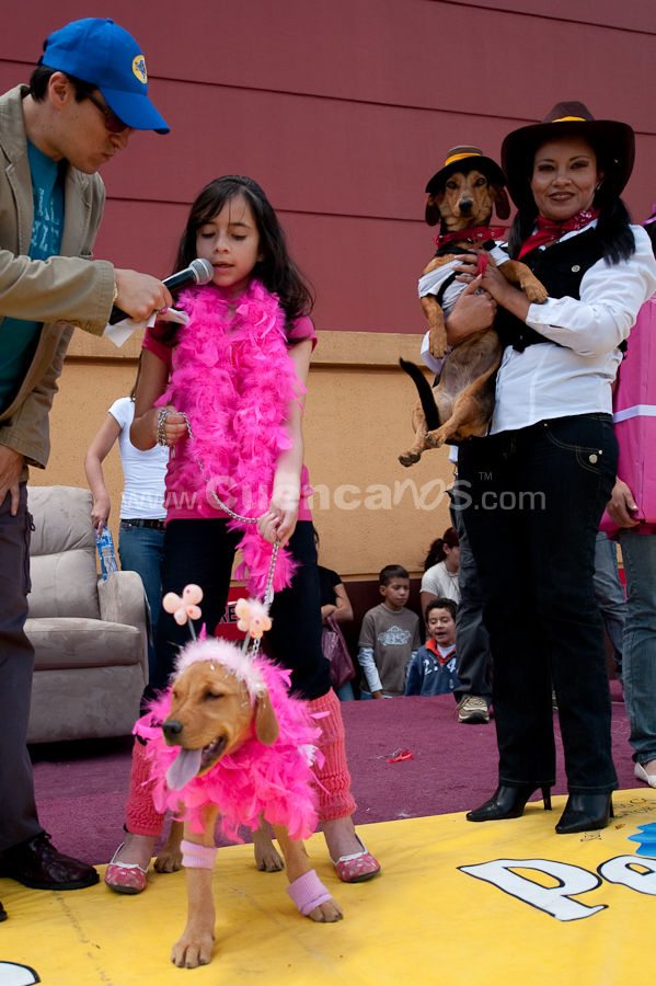 Festival Canino Mall 2009