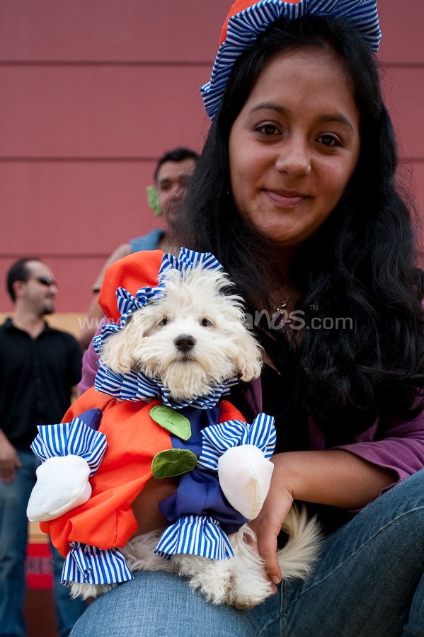 Festival Canino Mall 2009