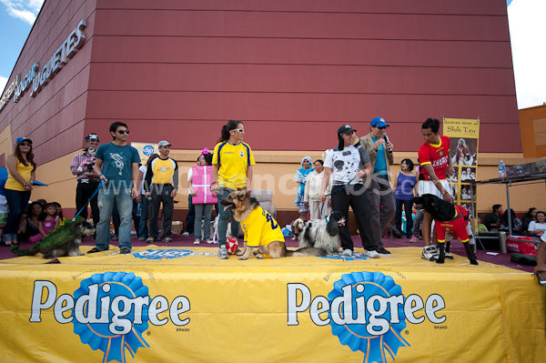 Festival Canino Mall 2009
