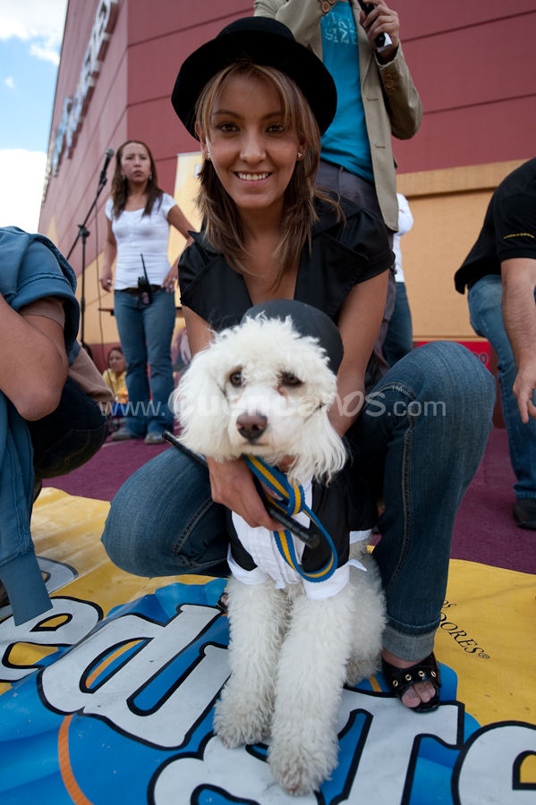 Festival Canino Mall 2009