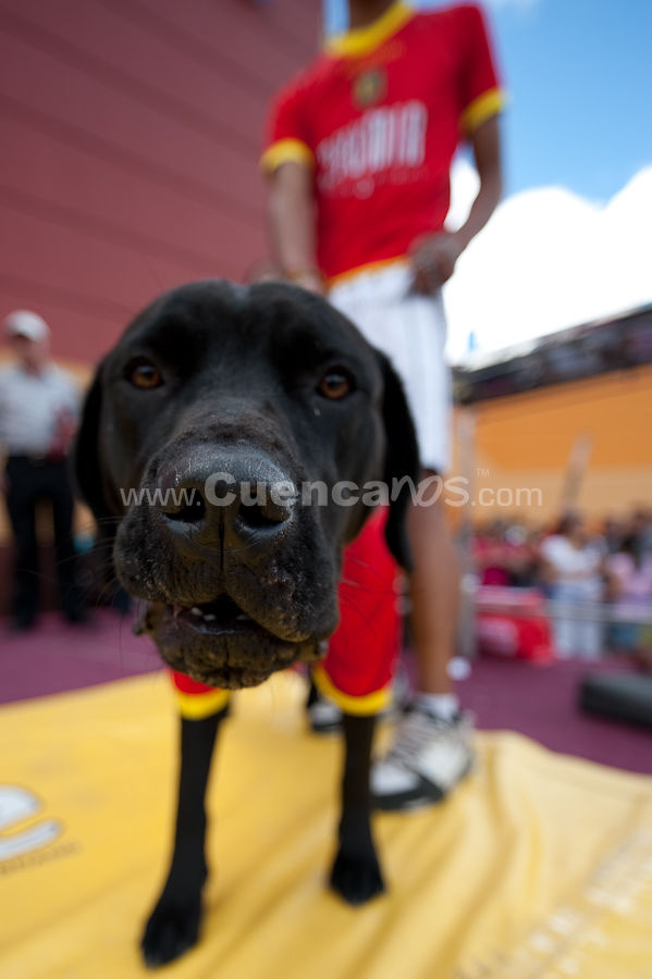 Festival Canino Mall 2009
