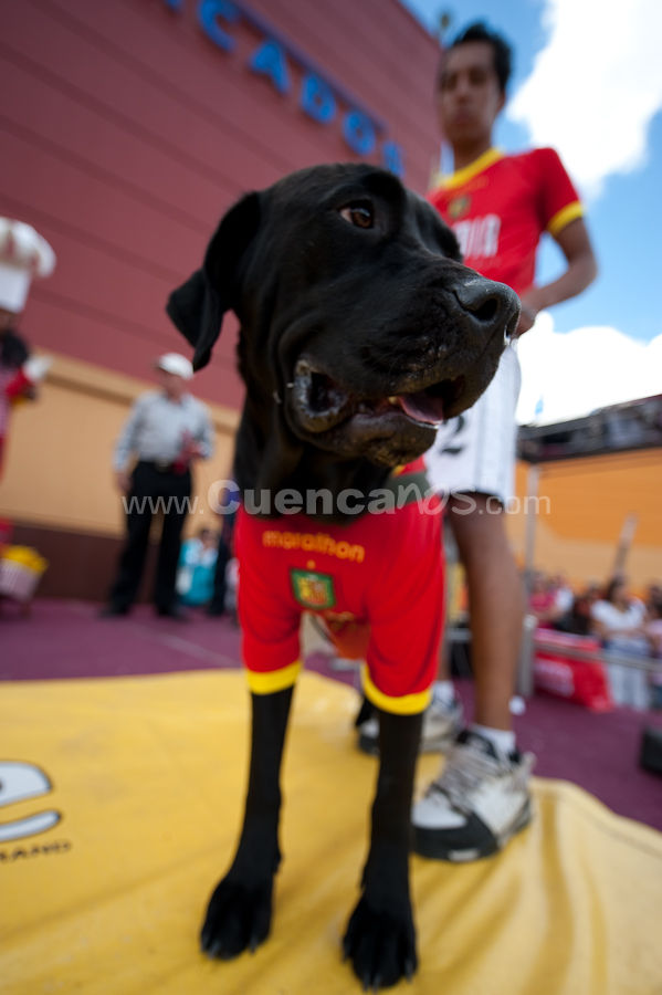 Festival Canino Mall 2009