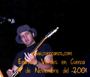 Concierto de Enanitos Verdes