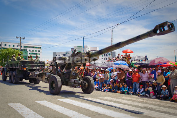 Parada Militar 2009