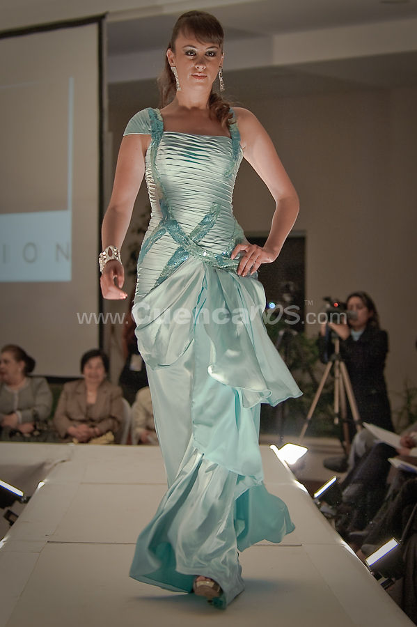 Colecciones y Arte 2010