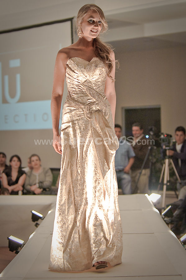 Colecciones y Arte 2010