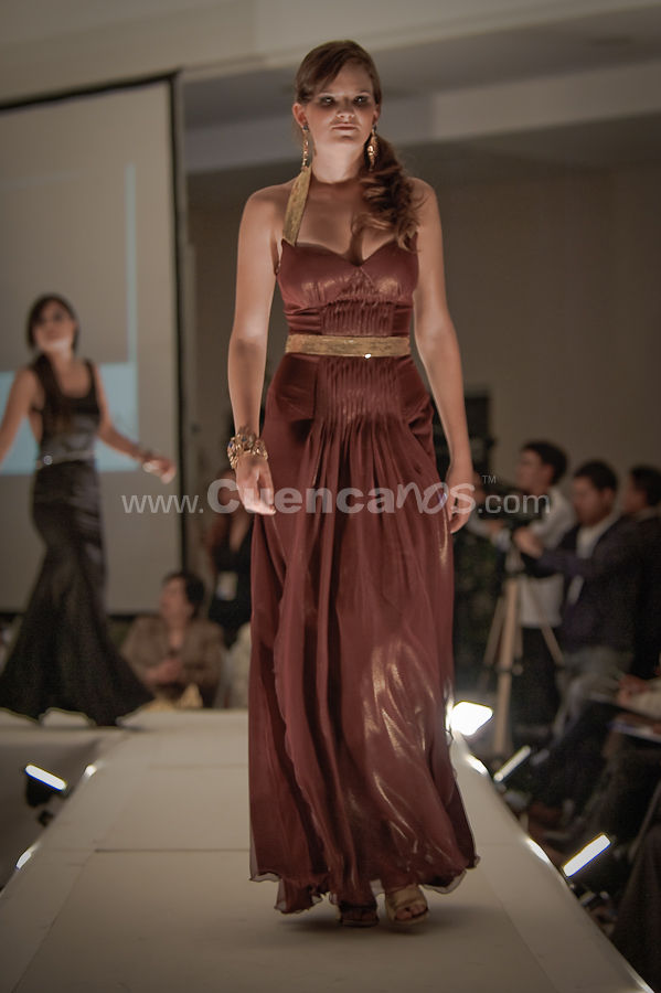 Colecciones y Arte 2010