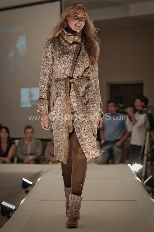 Colecciones y Arte 2010