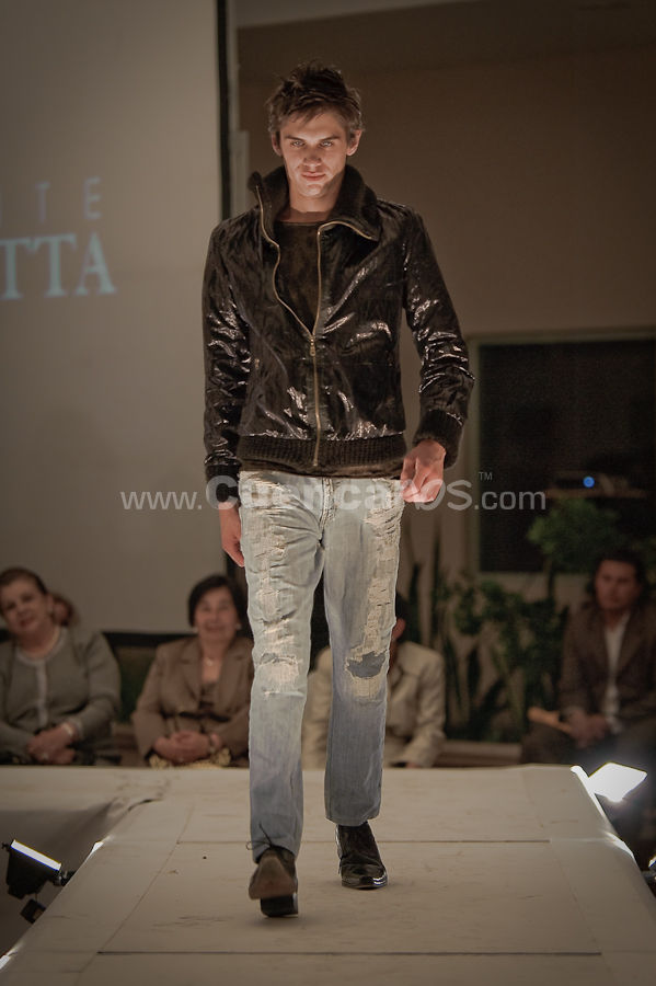 Colecciones y Arte 2010