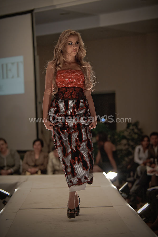 Colecciones y Arte 2010