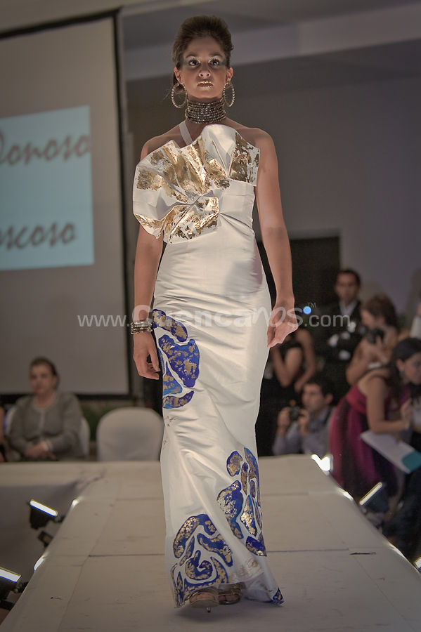 Colecciones y Arte 2010