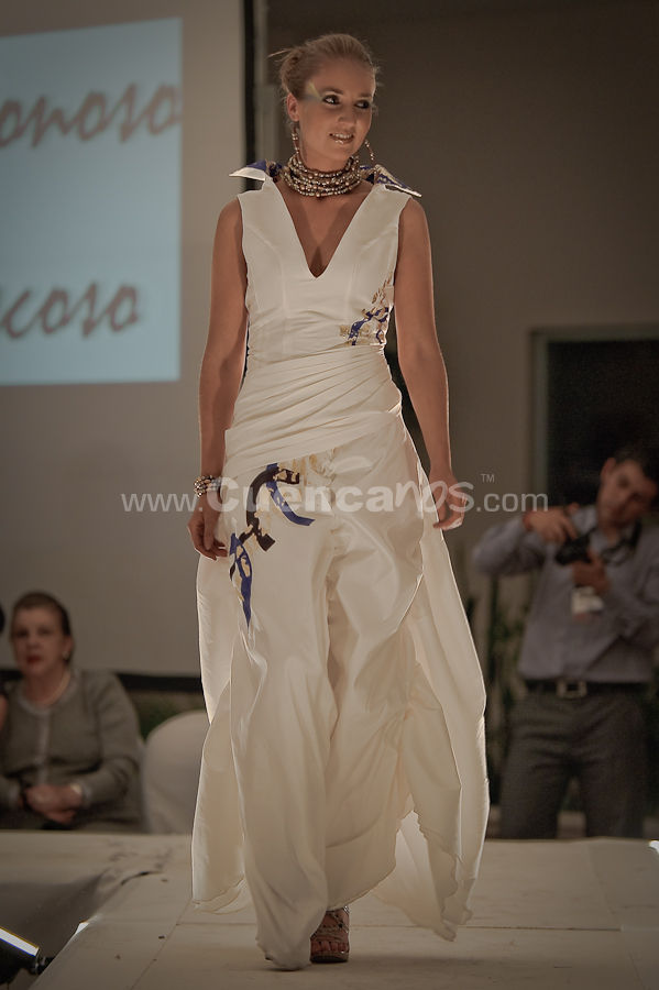 Colecciones y Arte 2010