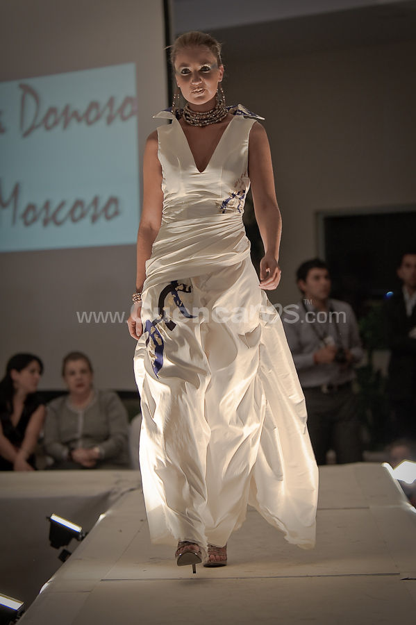 Colecciones y Arte 2010