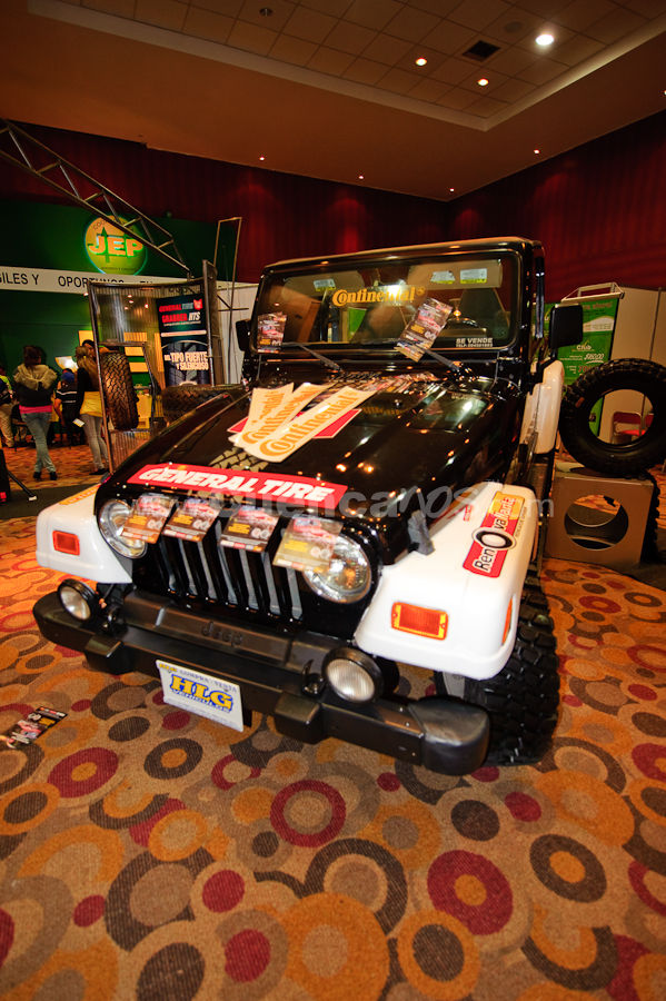 Expoauto 2010
