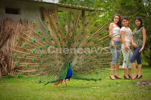 Candidatas a Reina de Sucua 2009 2010