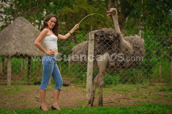 Candidatas a Reina de Sucua 2009 2010